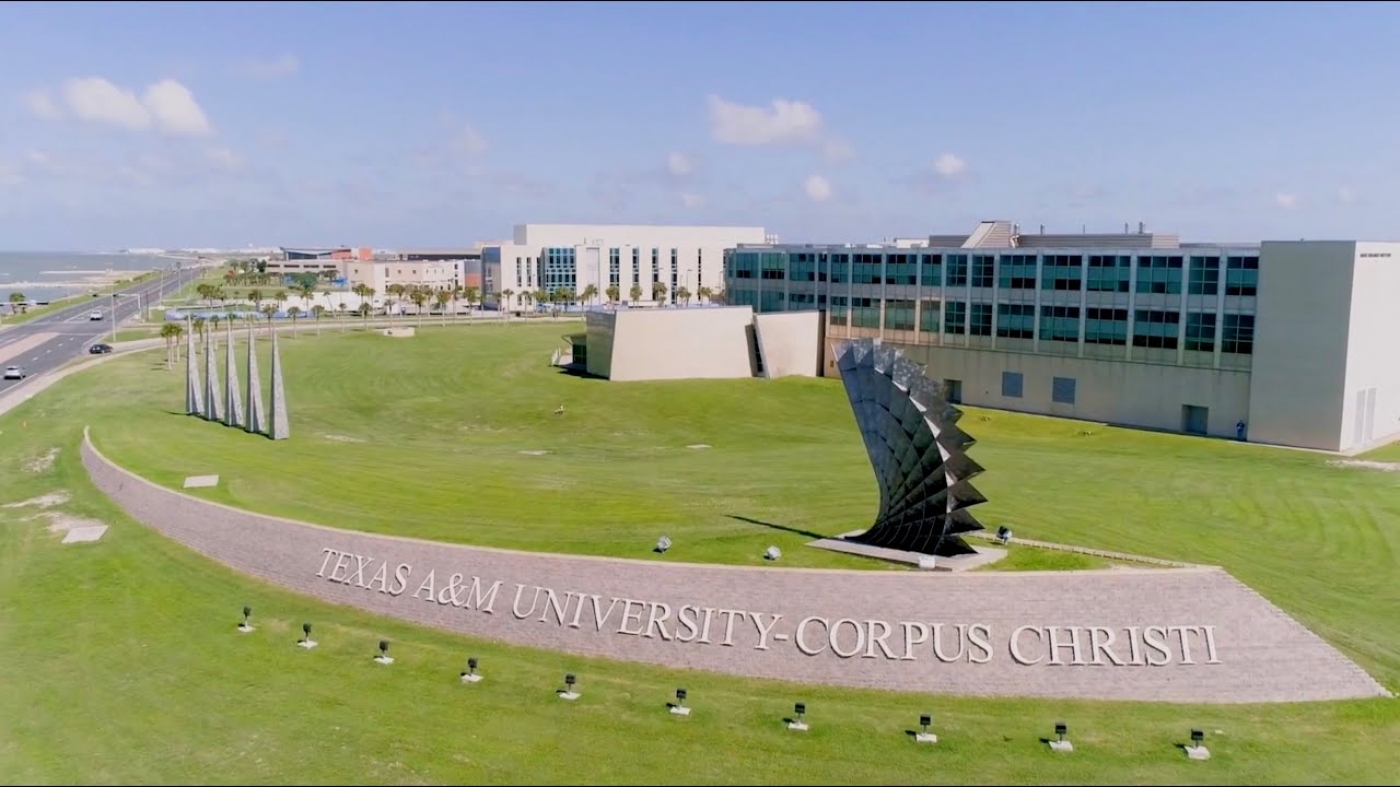 Study Group - Texas A&M University - Corpus Christi